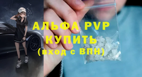 дживик Гусев