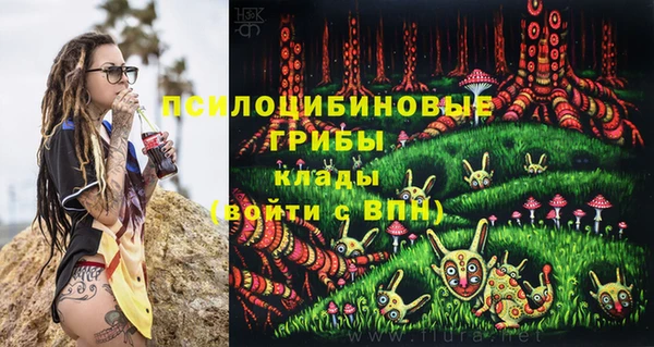 PSILOCYBIN Гусь-Хрустальный