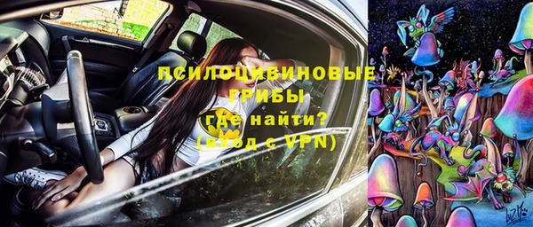 молекула духа Горняк