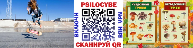 Псилоцибиновые грибы Cubensis  Вилюйск 